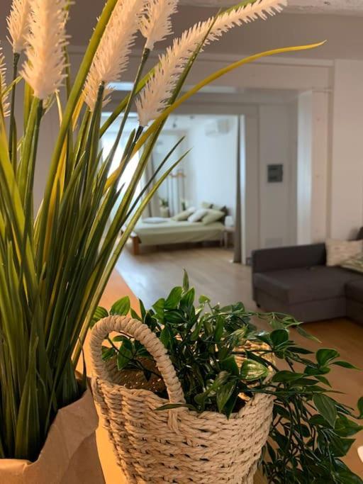 Interno4Home: In Centro Storico Con Posto Auto แฟร์รารา ภายนอก รูปภาพ